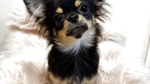 優しい顔立ちの女の子♡