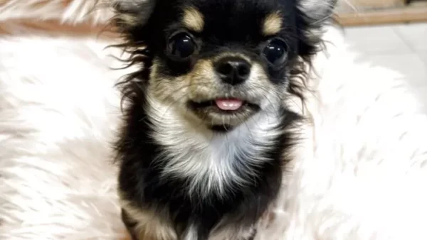 ベビーフェイス！小振りな女の子♡